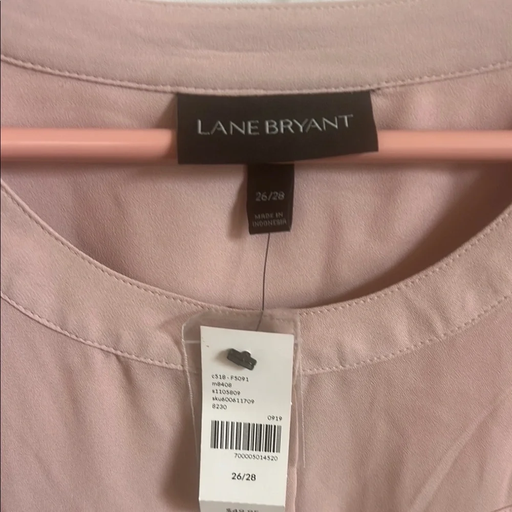 Pale Pink Sheer Women's Top by Lane Bryant - Picture 2 of 11